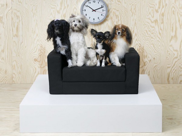 Hội yêu thú cưng đâu, IKEA chính thức ra mắt BST nội thất "sang chảnh" cho chó mèo rồi này!