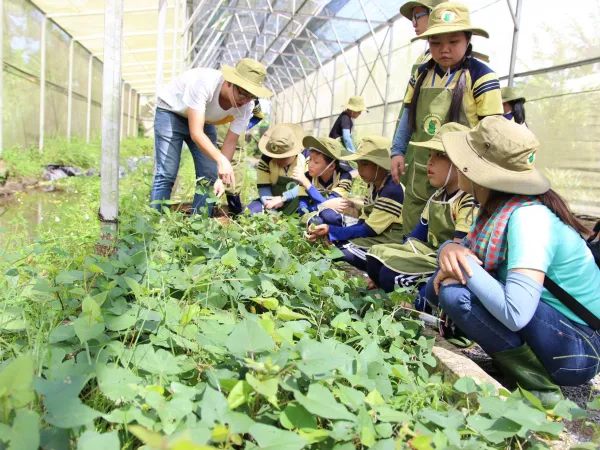 Dự án nâng cao kiến thức sinh thái và môi trường cho các em nhỏ tại mái ấm “Dream Garden”