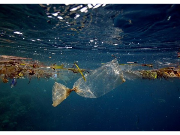 Thích thú với mẫu giày thể thao được làm từ chất liệu rác thải đại dương