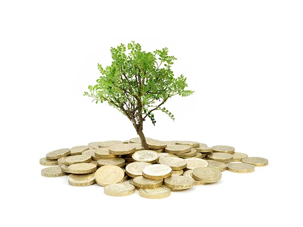 Có ai không thấy vui khi làm việc tốt?