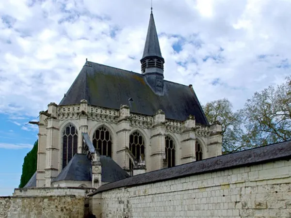 Champigny - sur-Veude - Hoa diên vĩ tinh khôi