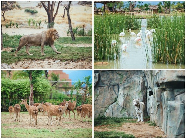 Có gì ở trong River Safari đầu tiên và duy nhất tại Việt Nam?