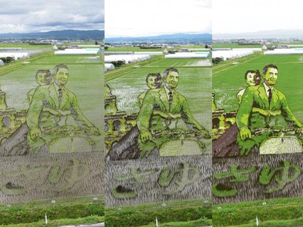 Chuyện chỉ có ở Nhật Bản: Nghệ thuật trên đồng lúa