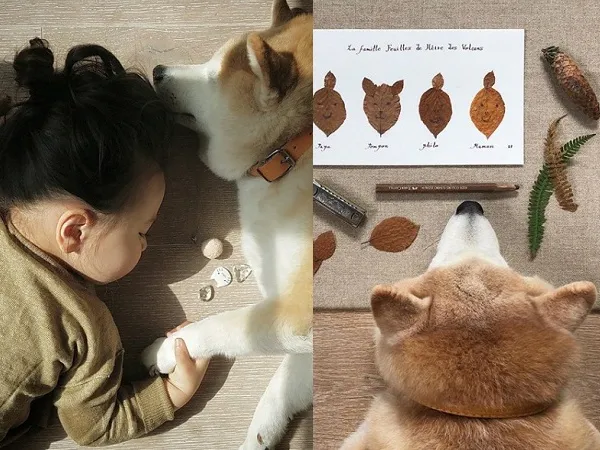 “Những mốc thời gian hạnh phúc”: Tình bạn thưở ấu thơ vĩnh cửu