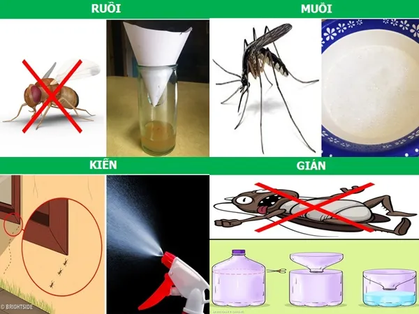 Những mẹo hay khiến côn trùng “một đi không trở lại”