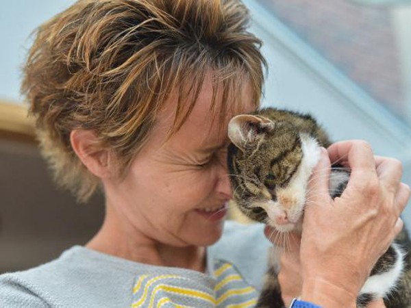 Chú mèo dũng cảm đã tìm được đường về nhà sau hơn một thập kỷ đi lạc