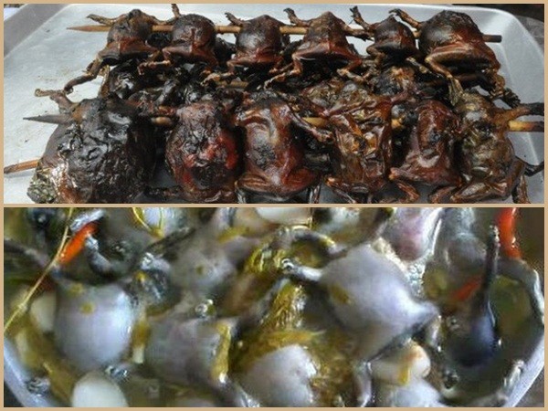 Món ếch òn nguyên con khiến người nhìn khiếp vía hóa ra là đặc sản nổi tiếng ở Ninh Thuận
