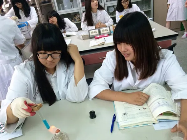 Học tiếng Việt trở thành lựa chọn của nhiều người Hàn Quốc
