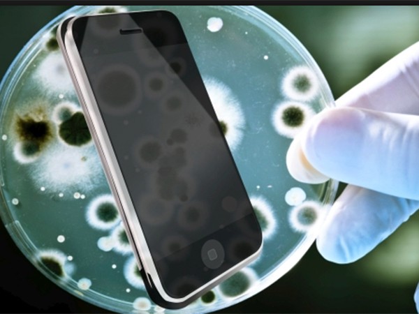Những hình ảnh kinh hoàng về vi khuẩn có trên smartphone