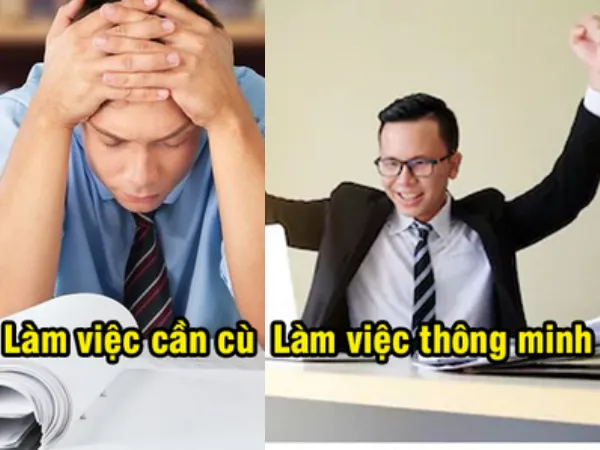 Chìa khóa thành công: Đừng chỉ làm việc như một chú ong cần mẫn, hãy làm việc một cách thông minh!