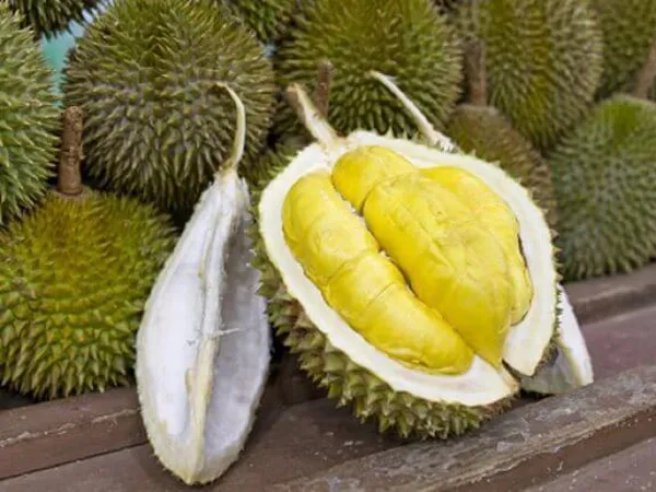 Sầu riêng, đậu phụ thối xuất hiện trong bảo tàng món ăn đáng sợ