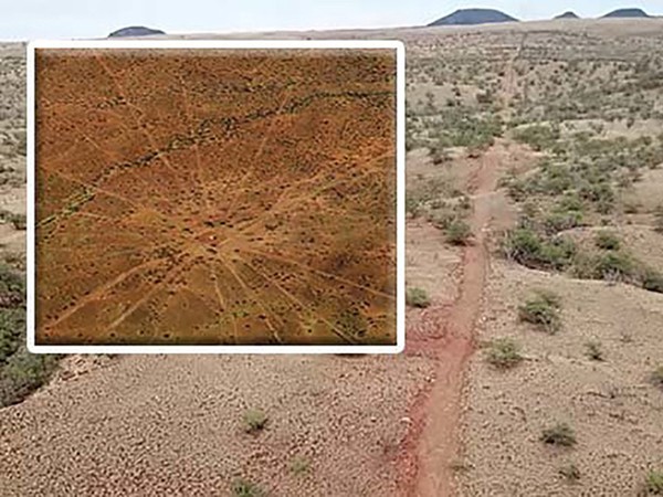 Mỹ: Phát hiện “bản đồ hình sao” bí ẩn dài gần 5 km ở Hawaii