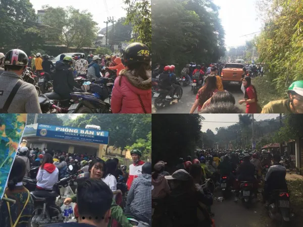 Dòng xe tắc dài gần 5km khi dòng người ùn ùn kéo nhau lên Ba Vì ngắm hoa dã quỳ