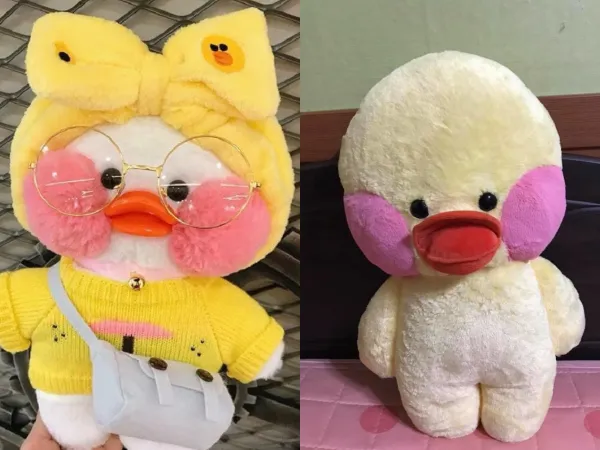 Nhan sắc thật của chú vịt bông hot nhất MXH: Đúng là hình ảnh chỉ mang tính minh hoạ!
