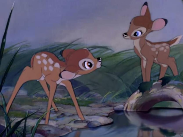 Giết nai phi pháp, người đàn ông phải xem hoạt hình Bambi trong tù