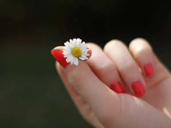 Đâu chỉ vân tay, đến hình dáng móng tay cũng hé lộ tính cách của bạn