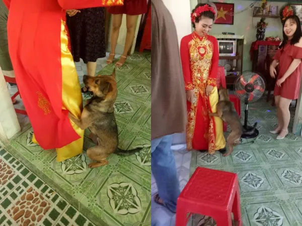 Gái lớn thì phải lấy chồng, họ hàng ai cũng vui mừng ngoại trừ "anh bạn" này