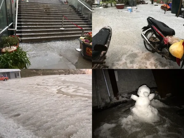 Fansipan xuất hiện mưa băng đẹp như phim, cỏ cây phủ một màu trắng xóa