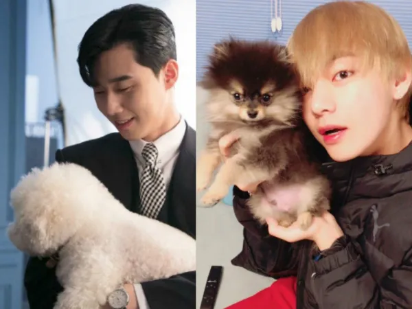 Chính chủ gặp nhau chưa đủ, V và Park Seo Joon phải mang hai Boss hẹn hò cùng