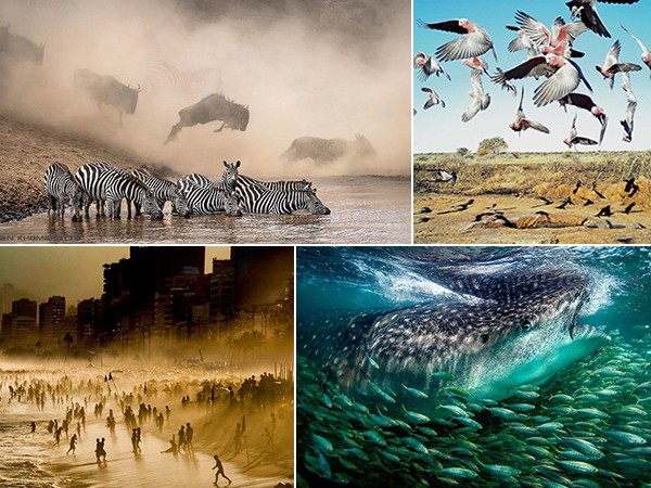 Những bức ảnh ấn tượng nhất trong cuộc thi nhiếp ảnh trên Instagram của National Geographic