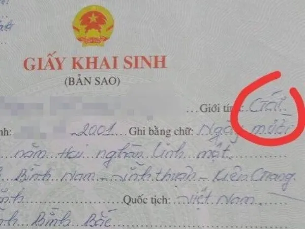 Nữ sinh không được làm hồ sơ tuyển sinh Đại học vì giới tính giấy khai sinh là "Gái"