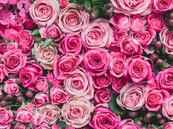 Horoscope tuần từ 22/4 đến 28/4: Bầu trời những ngày cuối tháng 4 liệu có quá yên bình?