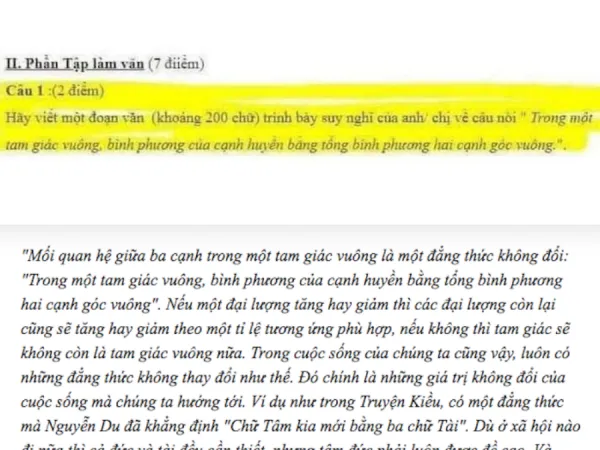 Đưa định lý Pitago vào đề Văn, cô giáo ngỡ ngàng khi nhận được bài làm của học sinh