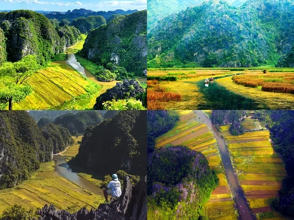 Hè này, bạn đã thử leo lên đỉnh Hang Múa và ngắm trọn "mùa vàng Tam Cốc"?