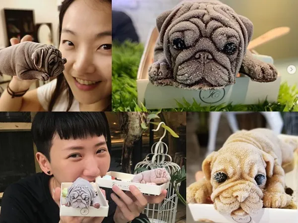 Ngạc nhiên chưa. Đây là kem chứ không phải chú cún mới sinh đâu nhé!