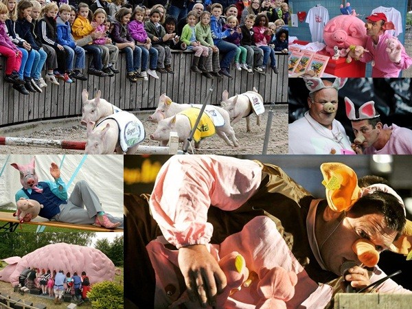 Cười không ngớt tại lễ hội tôn vinh lợn độc đáo