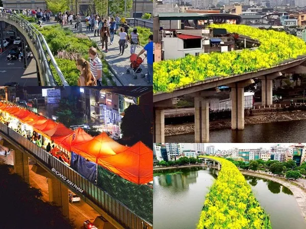 Bất ngờ hình ảnh "chế" đường sắt trên cao Cát Linh - Hà Đông thành con đường hoa cải