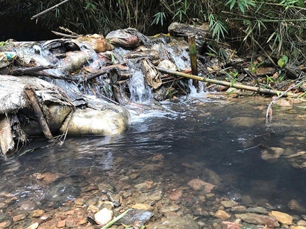 NÓNG: Khởi tố hình sự vụ đổ dầu thải gây sự cố nước sạch sông Đà