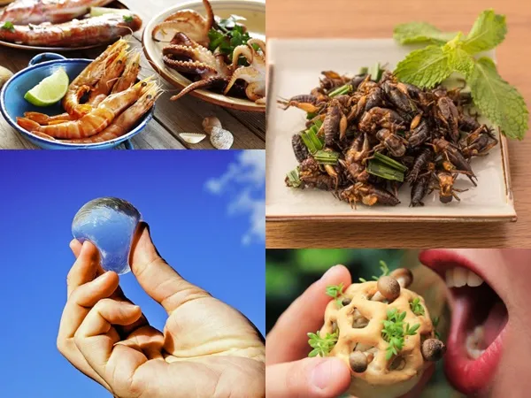 10 thực phẩm công nghệ cao cho con người trong tương lai