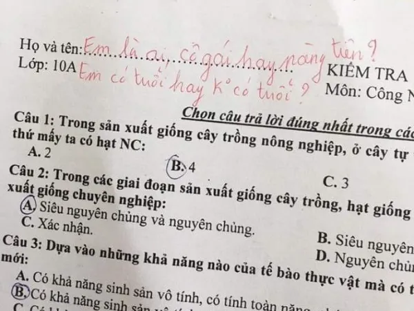Học trò quên điền thông tin trong bài kiểm tra, giáo viên nhắc: "Em là ai? cô gái hay nàng tiên"
