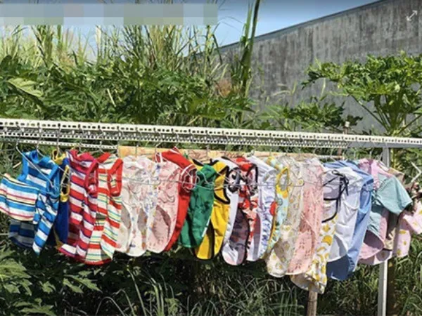 Nữ sinh về quê ăn Tết bị hàng xóm đồn "chửa hoang" vì phơi nhiều quần áo chó mèo